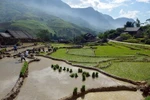 [Photo] Ruộng bậc thang Sapa-bức tranh thiên nhiên tuyệt đẹp