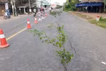 Quốc lộ 91 đoạn đi qua ấp Bình Tân, xã Bình Mỹ, huyện Châu Phú, tỉnh An Giang xuất hiện vết rạn nứt có nguy cơ sạt lở xuống sông Hậu. (Ảnh: Công Mạo/TTXVN)