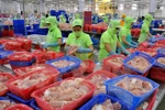 Chế biến cá tra xuất khẩu tại Công ty Hùng Cá, thành phố Cao Lãnh, tỉnh Đồng Tháp. (Ảnh: An Hiếu/TTXVN)