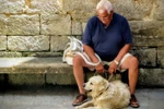 Những con vật nuôi giúp giảm tỷ lệ tự tử ở người cao tuổi. (Nguồn: theleadsouthaustralia.com.au)