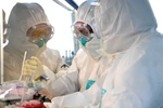Nhóm nghiên cứu phân tích mẫu bệnh phẩm của bệnh nhân nhiễm virus SARS-CoV-2 tại phòng thí nghiệm ở Hà Nam, Trung Quốc ngày 4/2/2020. (Ảnh: THX/TTXVN)