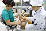 Tiêm chủng cho trẻ. (Ảnh: Dương Ngọc/TTXVN)