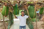 Du khách thích thú khi được chụp ảnh cùng những quả bí đao khổng lồ nặng trên 50kg. (Ảnh: Quốc Dũng/TTXVN) 