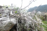 Nhiệt độ xuống thấp khiếm cho thị trấn Tam Đảo xuất hiện băng giá. 