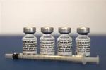 Vaccine ngừa COVID-19 của Pfizer-BioNTech. (Ảnh: AFP/TTXVN)