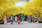 [Photo] TPHCM: Rộn ràng sắc Xuân tại Lễ hội Tết Việt Tân Sửu