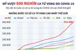 [Infographics] Mỹ vượt 500.000 ca tử vong do dịch COVID-19