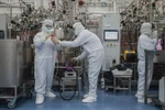 Các kỹ sư làm việc tại phòng thí nghiệm vắcxin COVID-19 Sinovac Biotech ở Bắc Kinh, Trung Quốc, tháng 4/2020. (Nguồn: AFP)