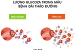 Lượng Glucoza trong máu bệnh nhân đái tháo đường. (Nguồn: Vinamilk)