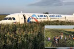 Chiếc A320 của hãng hàng không Ural Airlines phải hạ cánh xuống một cánh đồng (Nguồn: RT)