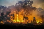 Nhân viên cứu hỏa khống chế các đám cháy tại Tây Australia. (Ảnh: AFP/TTXVN)