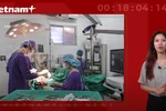 (Nguồn: Vietnam+)