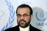 Phái viên Iran tại Cơ quan Năng lượng Nguyên tử Quốc tế (IAEA), ông Reza Najafi. (Nguồn: Reuters)