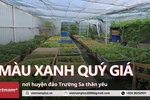 Những vườn rau quý giá nơi đầu sóng ngọn gió Trường Sa