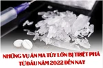 Những vụ án ma túy lớn bị triệt phá từ đầu năm 2022 đến nay