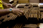 Công nhân phân loại xì gà tại nhà máy Cohiba ở La Habana, Cuba. (Ảnh: AFP/TTXVN)