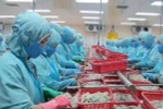WTO đưa phán quyết với 7 nội dung có lợi cho tôm Việt Nam