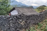 Cận cảnh bờ rào đá - nét kiến trúc độc đáo của người Mông ở Hà Giang