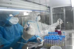 Nhân viên phòng xét nghiệm (CDC Đà Nẵng) tiến hành xét nghiệm. (Ảnh: Văn Dũng/TTXVN) 