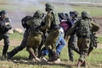 Người biểu tình Palestine xung đột với binh sỹ Israel tại làng Tamun, gần Thung lũng Jordan, Khu Bờ Tây ngày 31/1/2020. (Nguồn: AFP/TTXVN) 