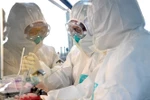 Nhóm nghiên cứu phân tích mẫu bệnh phẩm của bệnh nhân nhiễm virus SARS-CoV-2 tại phòng thí nghiệm ở Hà Nam, Trung Quốc ngày 4/2/2020. (Nguồn: THX/TTXVN) 