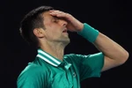 Tay vợt người Serbia Novak Djokovic trong trận đấu với tay vợt người Đức Alexander Zverev tại giải Australia mở rộng ở Melbourne ngày 16/2/2021. (Ảnh: AFP/TTXVN) 