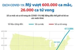 [Infographics] Mỹ vượt 600.000 ca mắc, 26.000 ca tử vong vì COVID-19