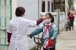 (Ảnh minh họa: Xuân Tư/TTXVN) 