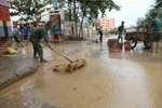 Chiến sỹ Trung đoàn 1, Sư đoàn 324, Quân khu 4 dọn dẹp bùn đất, đường xá... tại huyện Lệ Thủy. (Ảnh: Danh Lam/TTXVN) 