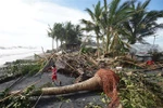 Cây cối gãy đổ do bão Rai tại thị trấn Dulag, tỉnh Leyte, Philippines ngày 17/12/2021. (Ảnh: AFP/TTXVN) 