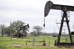 Một trạm bơm dầu ở Luling, bang Texas, Mỹ. (Nguồn: THX/TTXVN) 