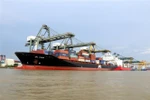 Bốc dỡ hàng hóa tại cảng Cát Lái, Thành phố Hồ Chí Minh. (Ảnh: Thanh Vũ/TTXVN) 