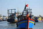 Ngư dân Quảng Trị kỳ vọng một mùa biển thuận buồm, xuôi gió