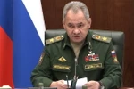 Bộ trưởng Quốc phòng Nga Sergei Shoigu. (Ảnh: AFP/TTXVN)