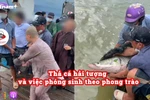 [Audio] Thả cá hải tượng và việc phóng sinh theo phong trào