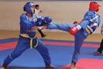 Thi đấu Vovinam. (Ảnh minh họa. Nguồn: TTXVN)