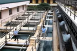 Sản xuất nước sạch ở Công ty kinh doanh nước sạch Hà Nội. (Ảnh: Bùi Tường/TTXVN)