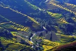 Ruộng bậc thang xã Bản Luốc, huyện Hoàng Su Phì, tỉnh Hà Giang. (Ảnh: Thanh Hà/TTXVN)