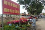 Tổ chức chợ hoa trên công trình đang thi công: Hiểm nguy rình rập