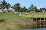 Các golfer chơi trên sân golf BRG Đà Nẵng. (Ảnh: Trần Lê Lâm/TTXVN)