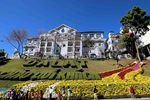 Không gian hoa dọc trục đường Lê Đại Hành (TP Đà Lạt) hấp dẫn du khách. (Ảnh: Nhật Anh/TTXVN)