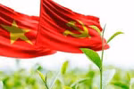 Dự thảo văn kiện Đại hội XIII: Chuẩn bị công phu, bài bản, chất lượng
