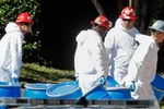 WHO: Số người thiệt mạng do virus Ebola lên đến 4.500 người