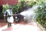 Phun thuốc diệt muỗi phòng dịch sốt xuất huyết. (Ảnh minh họa: Nguyễn Chinh/TTXVN)