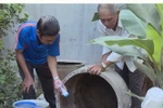 ​Diệt bọ gậy trong các dụng cụ có chứa nước. (Ảnh: TTXVN)