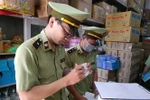 Lực lượng chức năng kiểm tra các cơ sở kinh doanh. (Ảnh: Tuấn Anh/TTXVN)