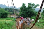Trên 50% tổng số cầu treo tại Sơn La chưa thực sự an toàn