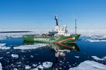 Ảnh chỉ có tính minh họa. (Nguồn: Greenpeace)