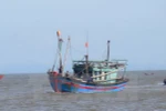 Tàu cá Bình Định bị tàu nước ngoài đâm chìm, một người tử vong