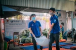 Thanh niên tình nguyện vận chuyển gạo, lương thực cho những hộ dân thuộc khu vực phong tỏa trên địa bàn quận Tân Phú. (Ảnh: Hồng Giang/TTXVN)